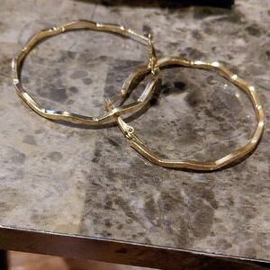 Elegant Goldtone Hoop Earrings